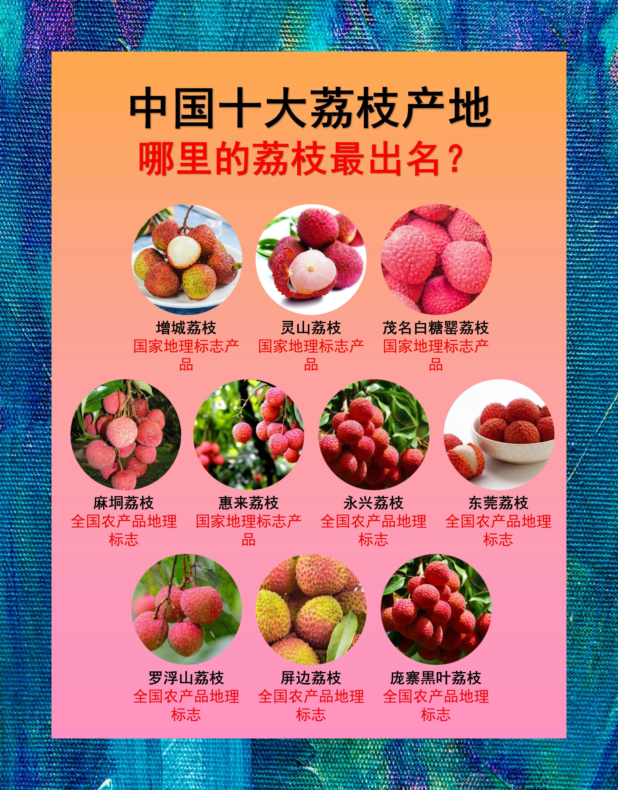 灵山荔枝介绍图片