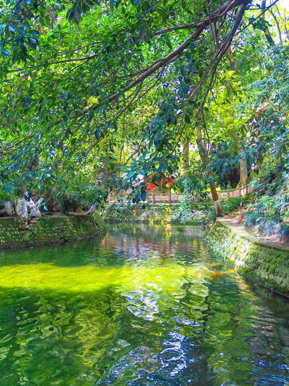 成都园林公园天花板99新繁东湖公园  92这两天正好来新繁办事, 早