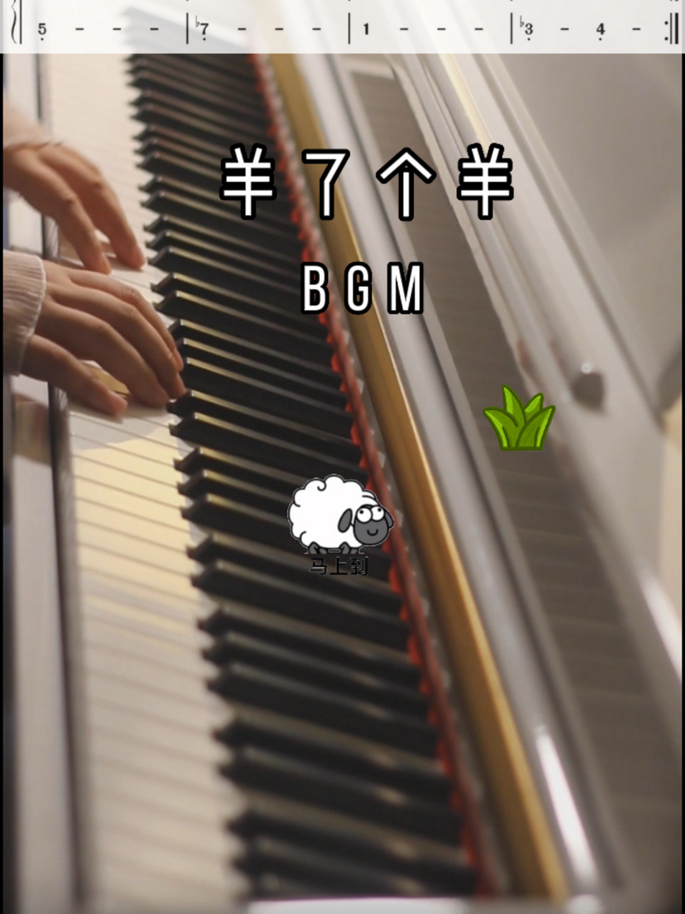 羊了个羊bgm《普通disco》加长钢琴版|附简谱 是哪个大冤种第二关还没