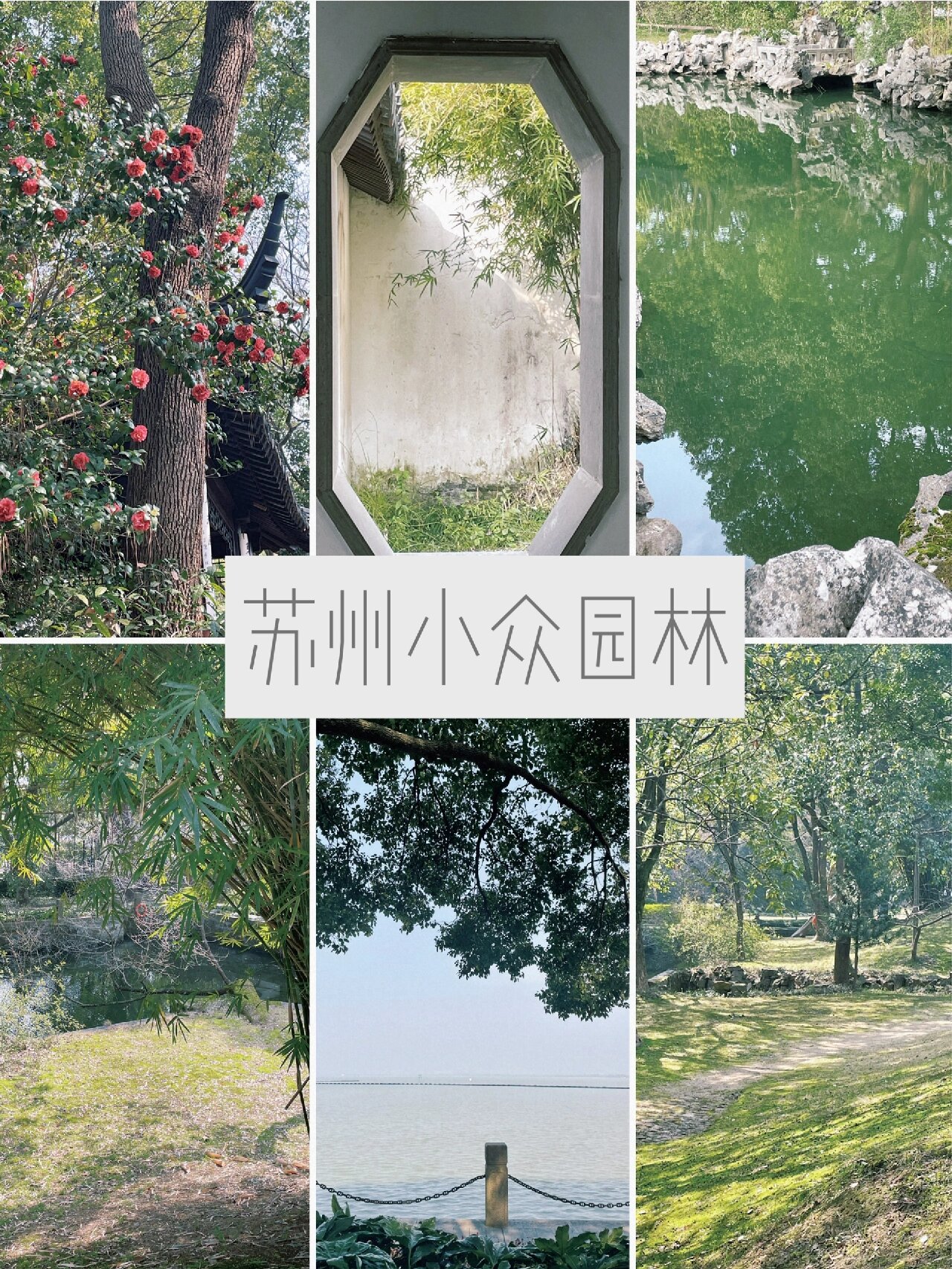 苏州如此chill的园林被我发现了6015