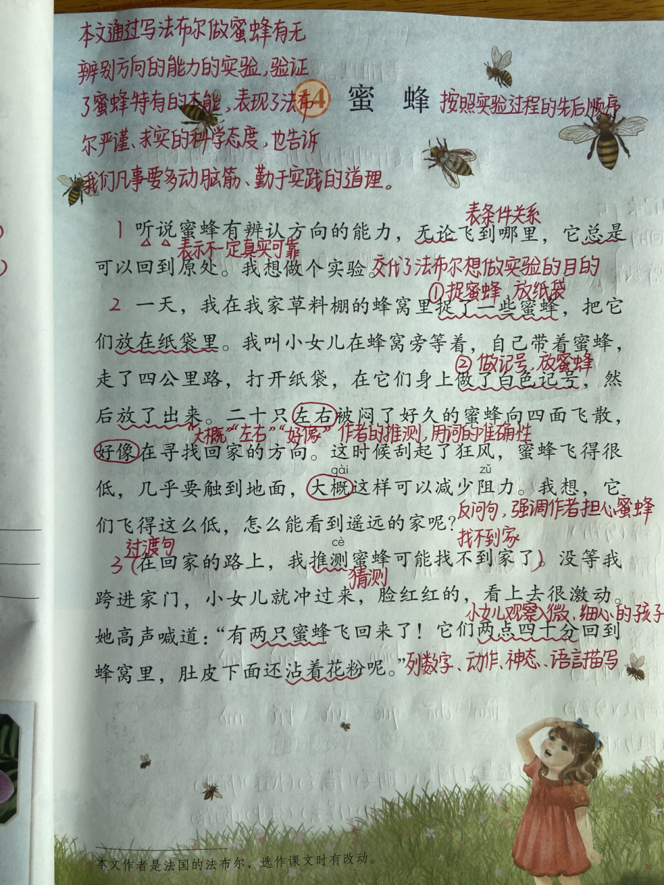 三年级语文下册 第14课 《蜜蜂》