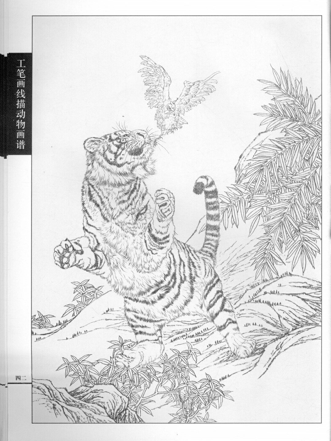 工笔老虎白描素材分享