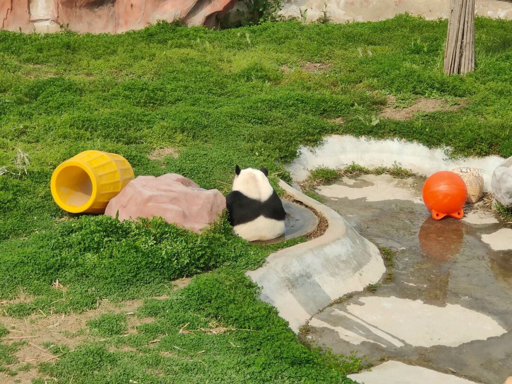 盐城大丰港动物园 非常值得一去的半开放式动物园,动物朋友们也都很