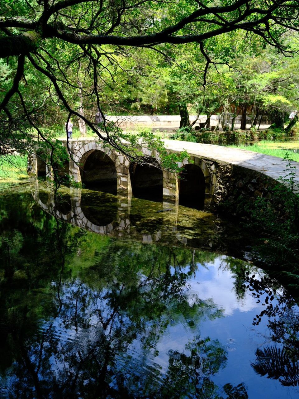 沙溪古镇白龙潭 - 现实版小石潭记 16615白龙潭是整个沙溪古镇