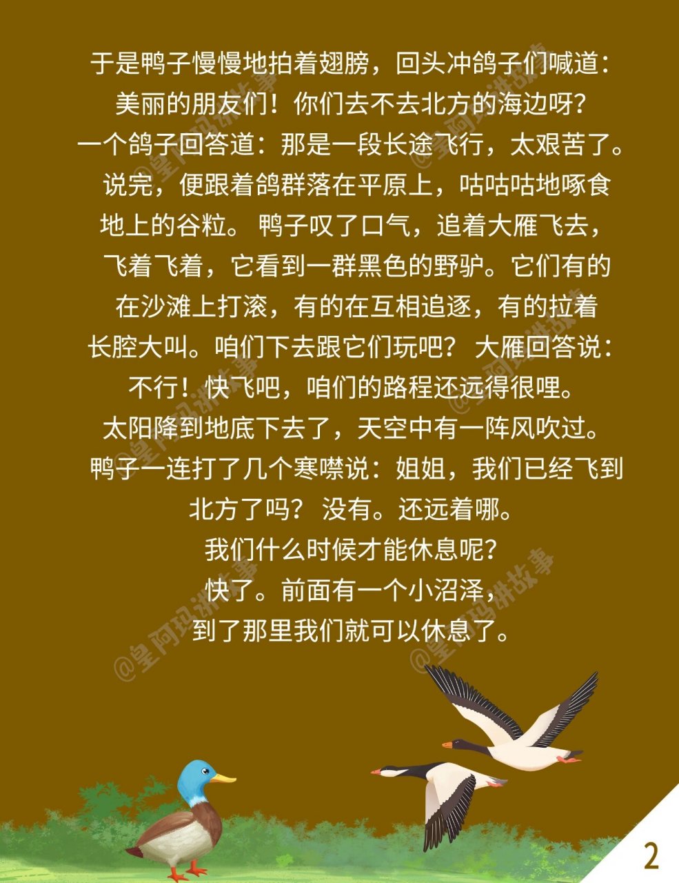 育儿故事3:大雁和鸭子