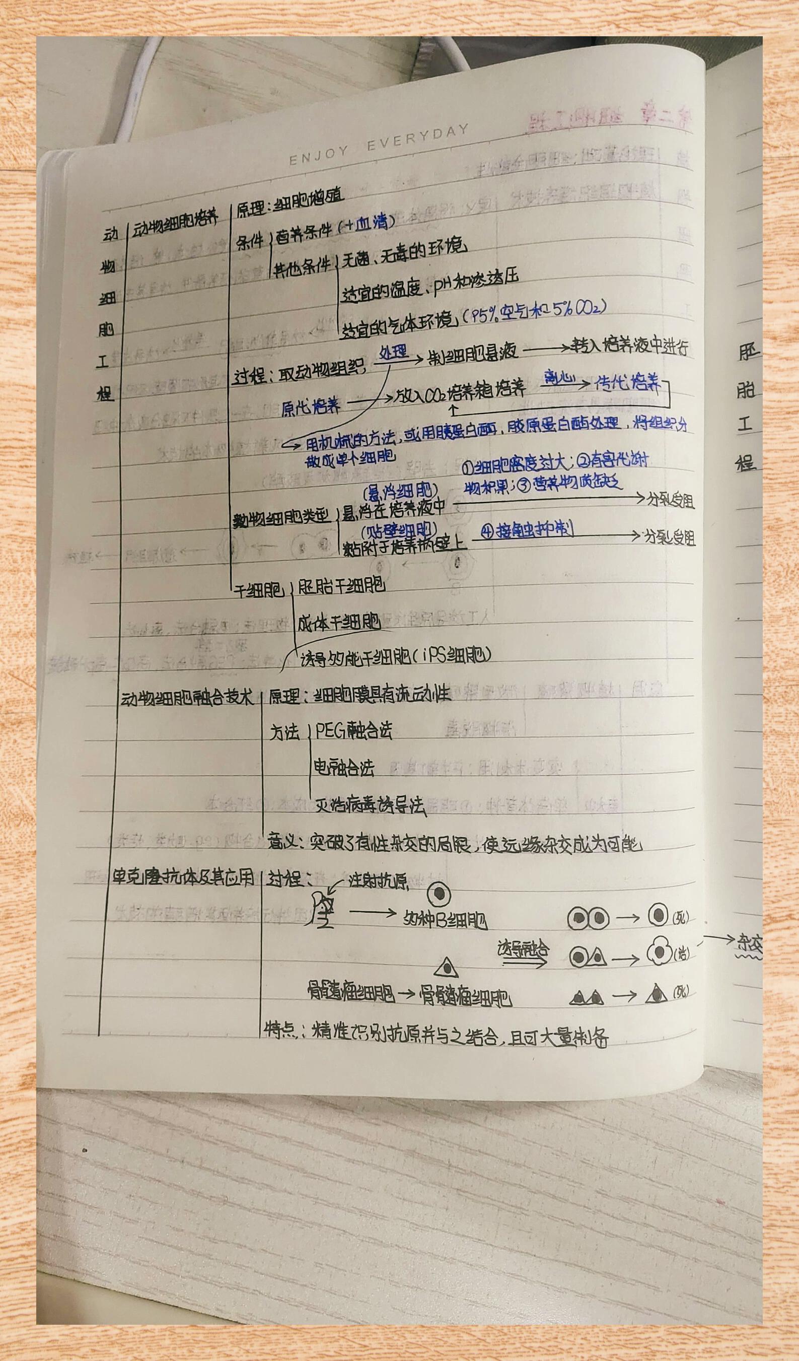 
高中生物信息技术应用  第2张