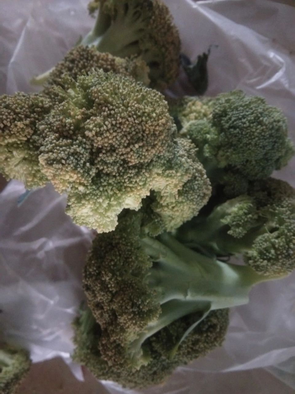 前几天买的西兰花,忘记放冰箱保鲜层了.