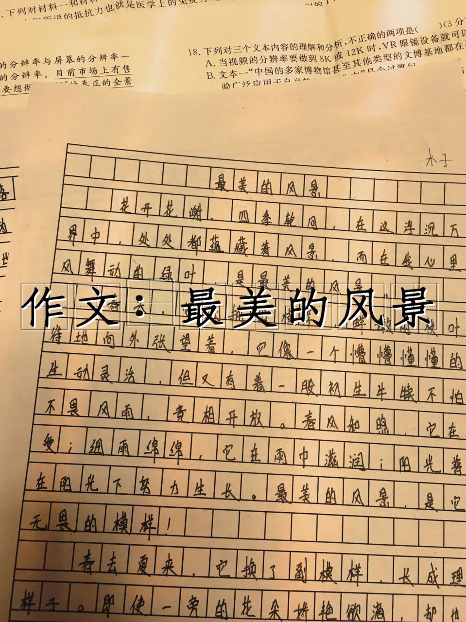 作文——最美的风景