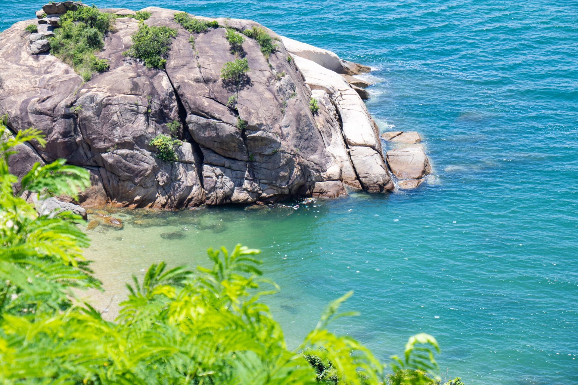 玫瑰海岸真实图片