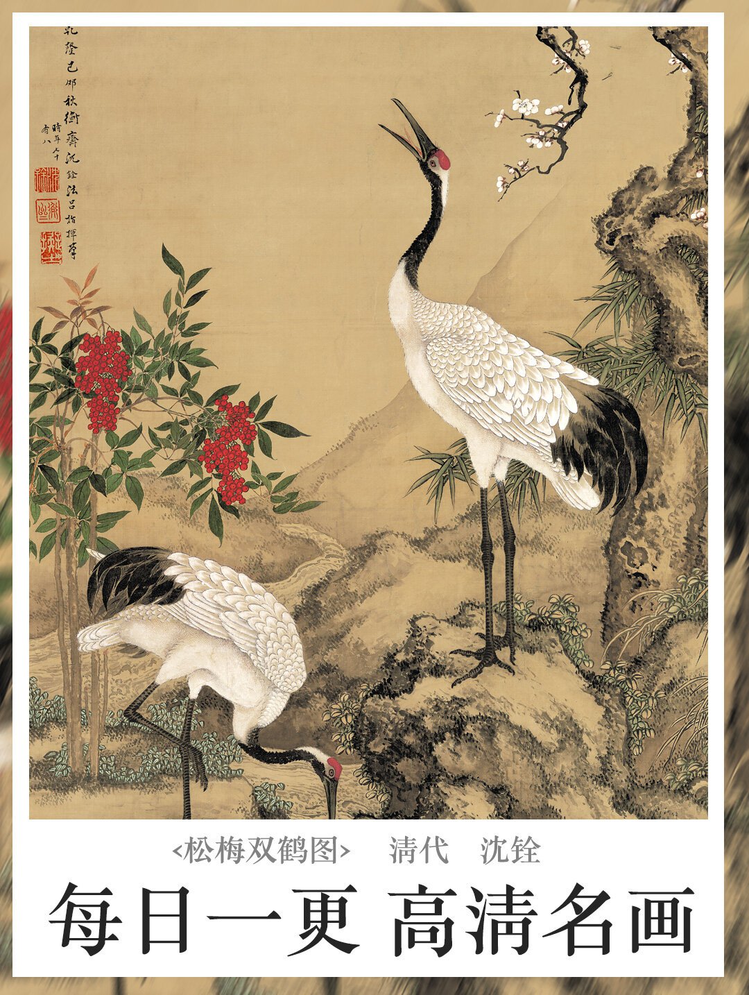 【名画赏析】沈铨 松梅双鹤图