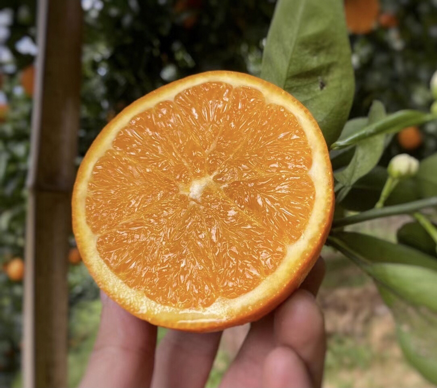 跑的越久,越知道那些人在没穿底裤