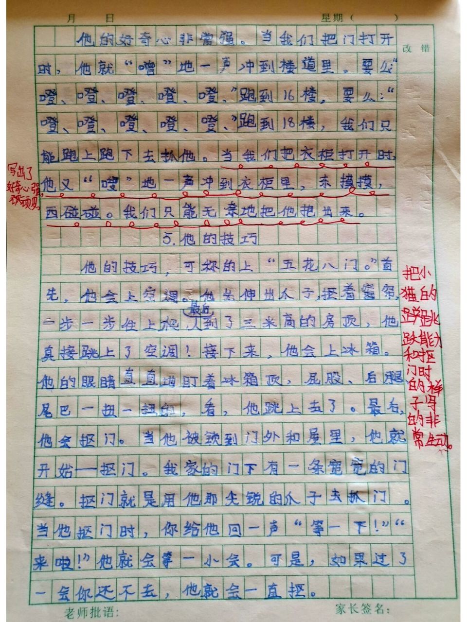 四年级作文—我的动物朋友 妙妙是一只橘猫 可爱又高冷 最近小朋友
