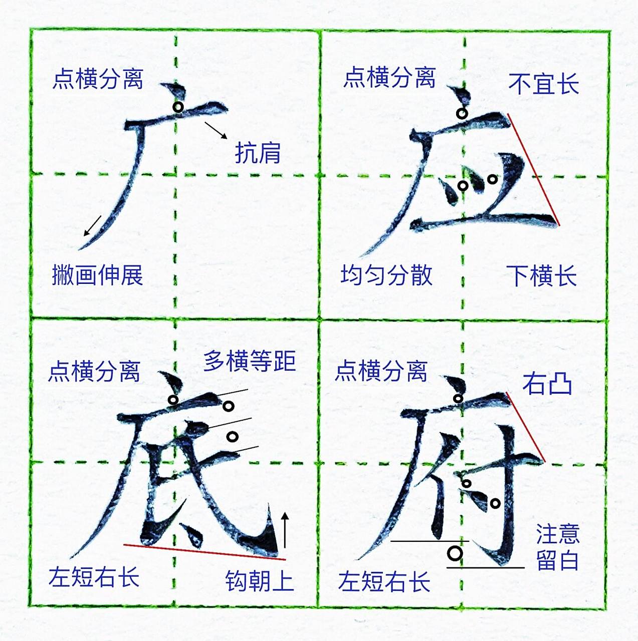 第十七课:广字头 广字头书写规律: 1.点略小要居中 2.点横要有分离 3.