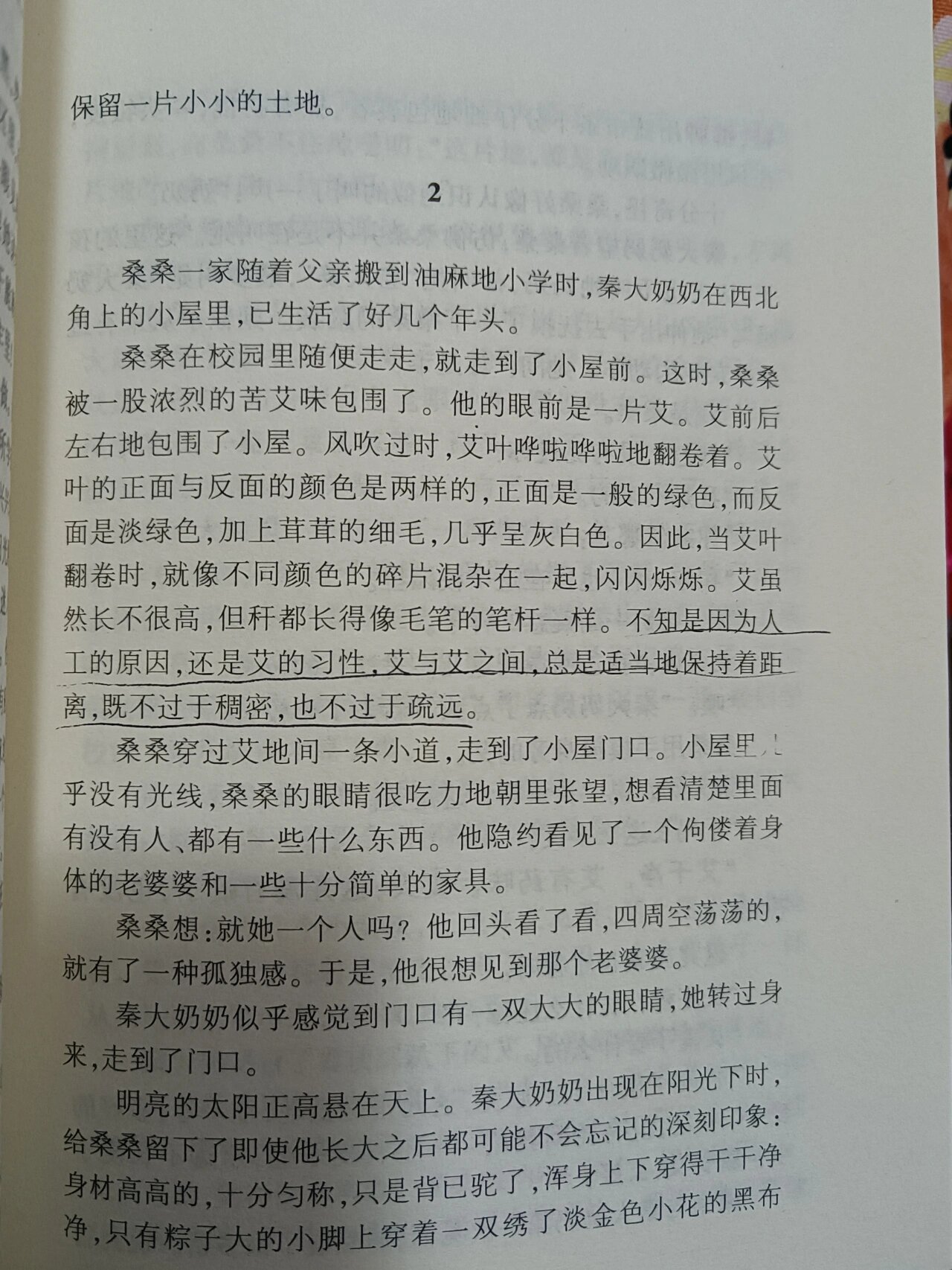 草房子故事梗概图片