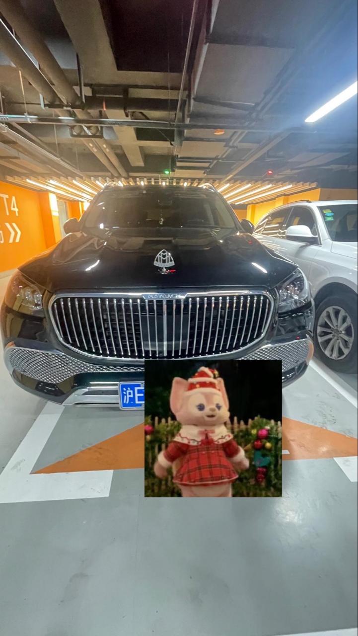 迈巴赫gls480落地价图片