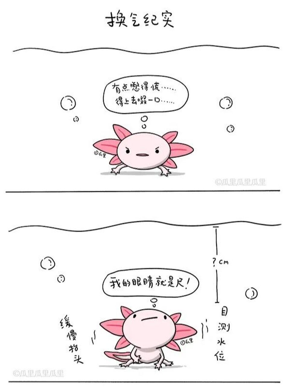 六角恐龙饲养方法——水位
