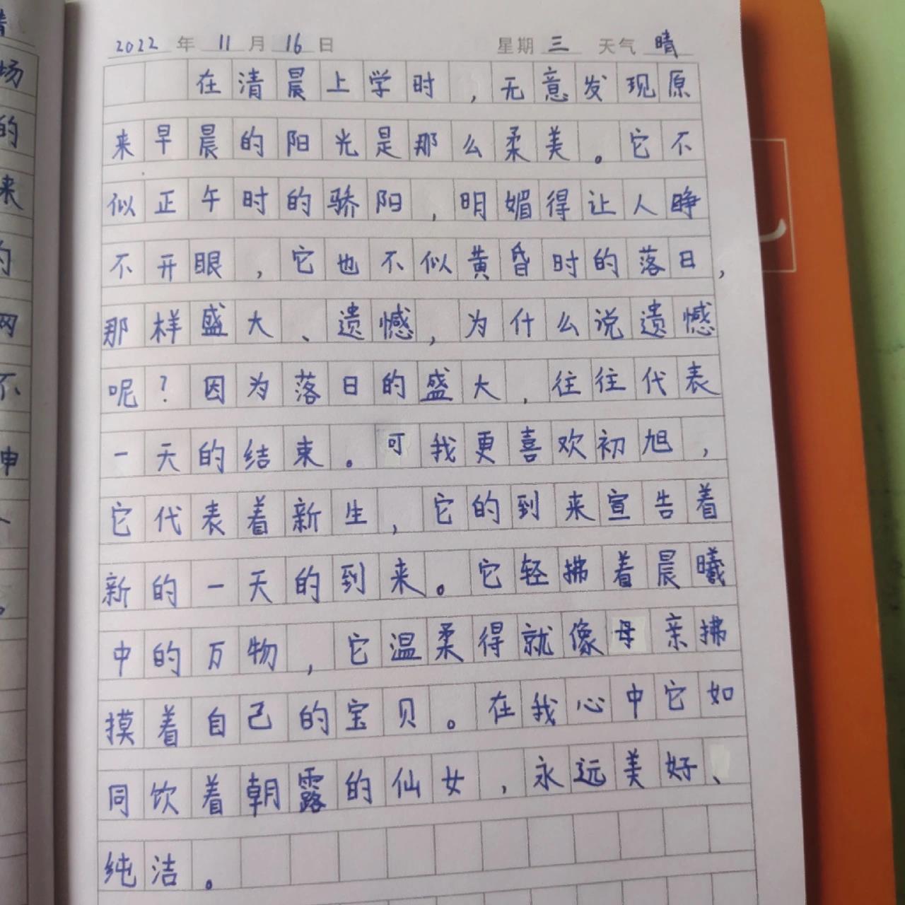 六年级小学生日记 六年级小学生日记