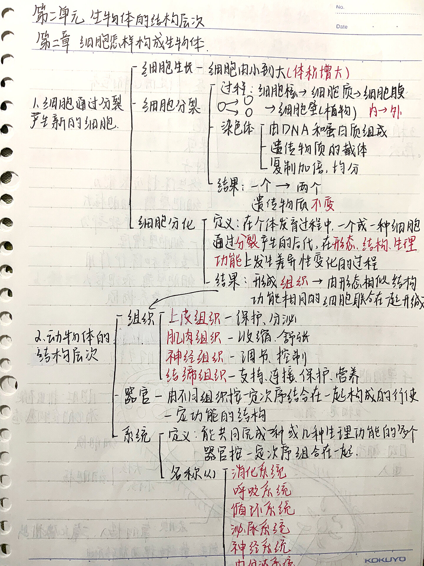 生命体征思维导图手写图片