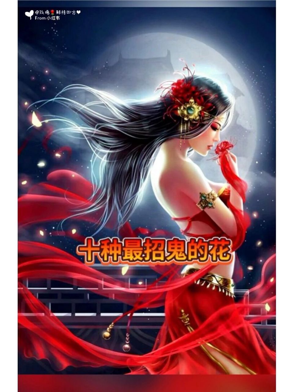 十种最招鬼的花