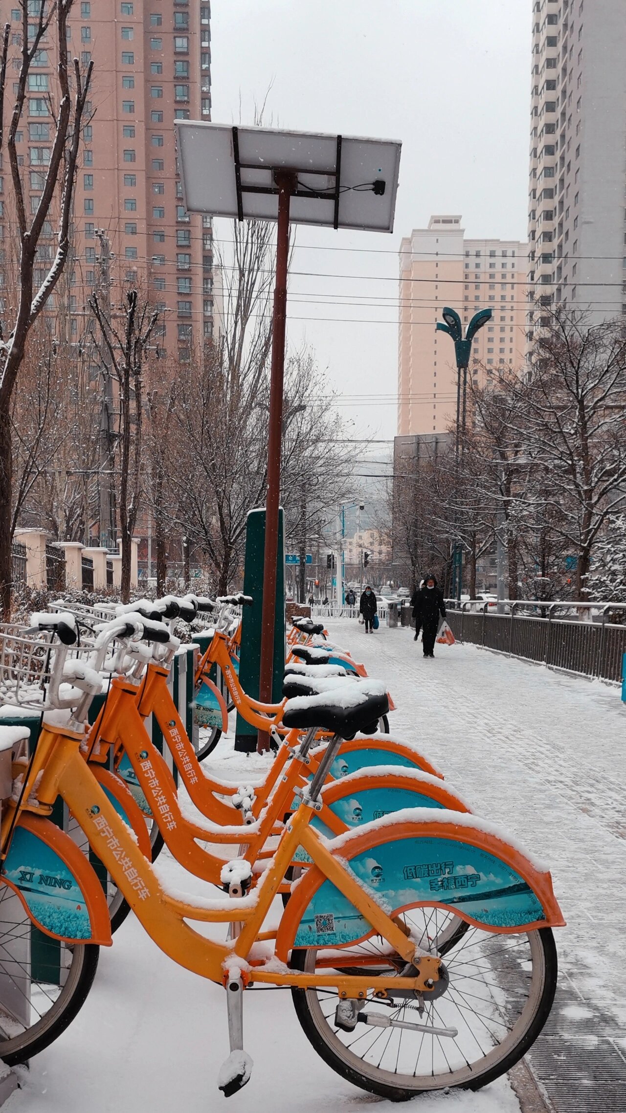 西宁雪景图片