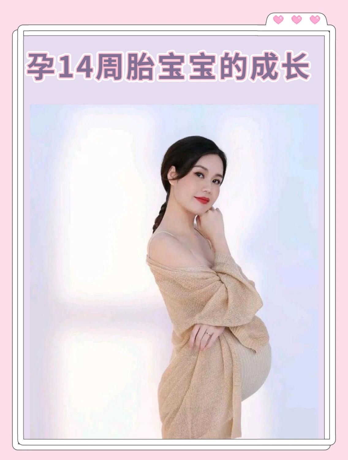 14周 5天胎儿图胎儿十四周有多大三个月14周胎儿什孕14周胎宝宝的成长
