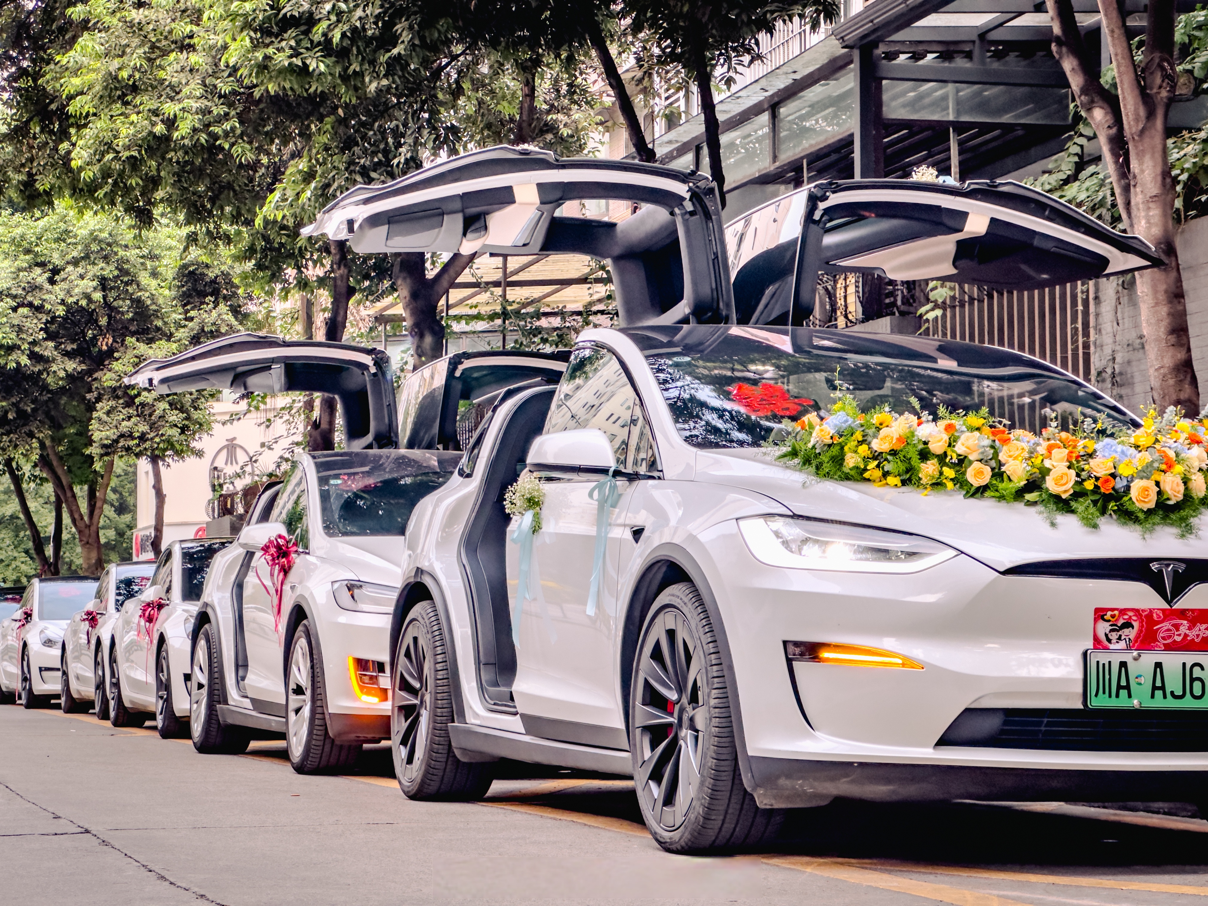 特斯拉modelx plaid当婚车也挺合适的,鹰翼门打开后真的太酷啦!