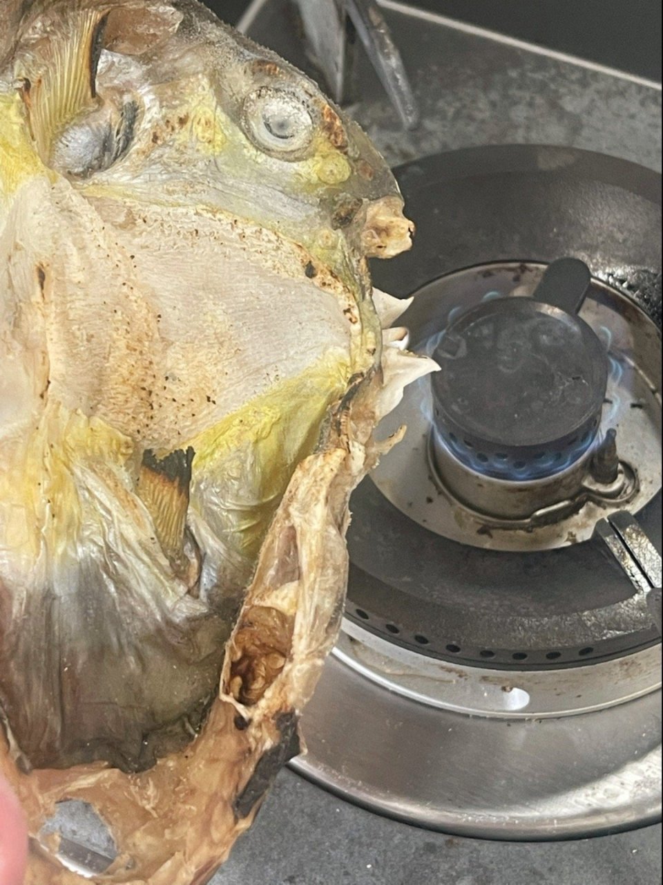 煮一道99%的人都没吃过的菜…… 河豚鱼干,煮排骨.