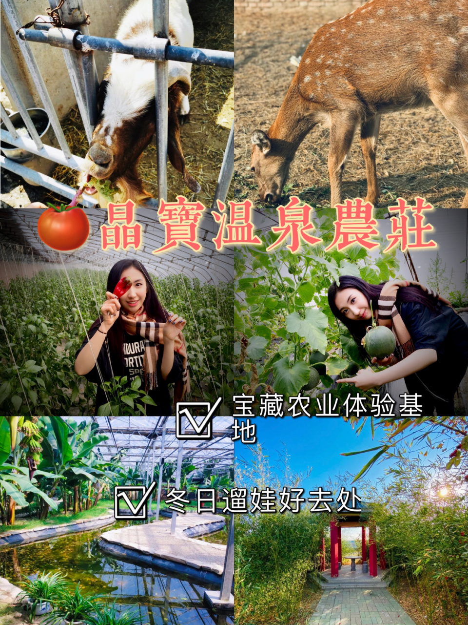 97晶宝温泉农庄 宝藏农业体验基地|冬日遛娃好去处 hello^大家好,我