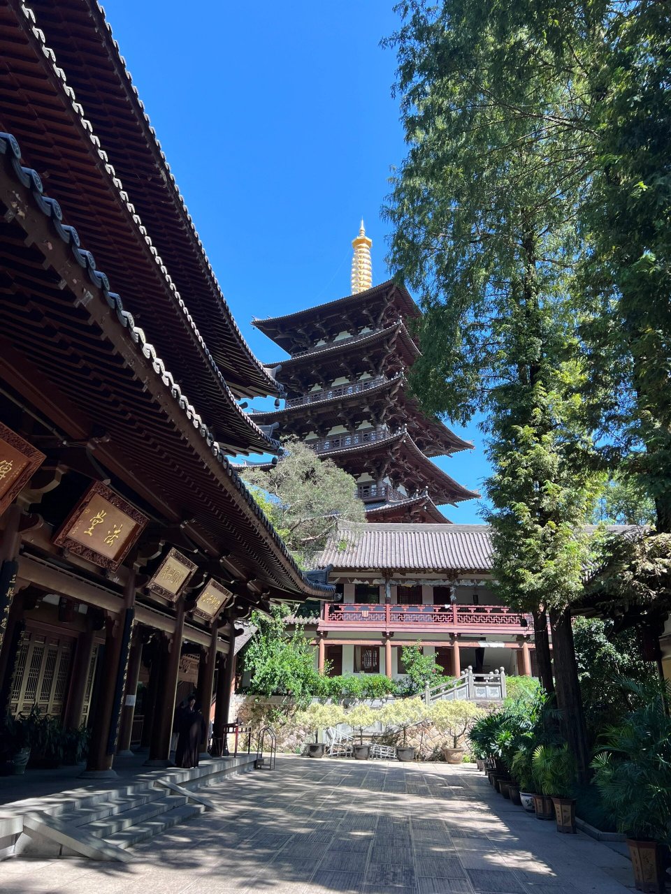 温州护国寺 风景确实很不错,就是停车不好停,附近也有很有其他景点