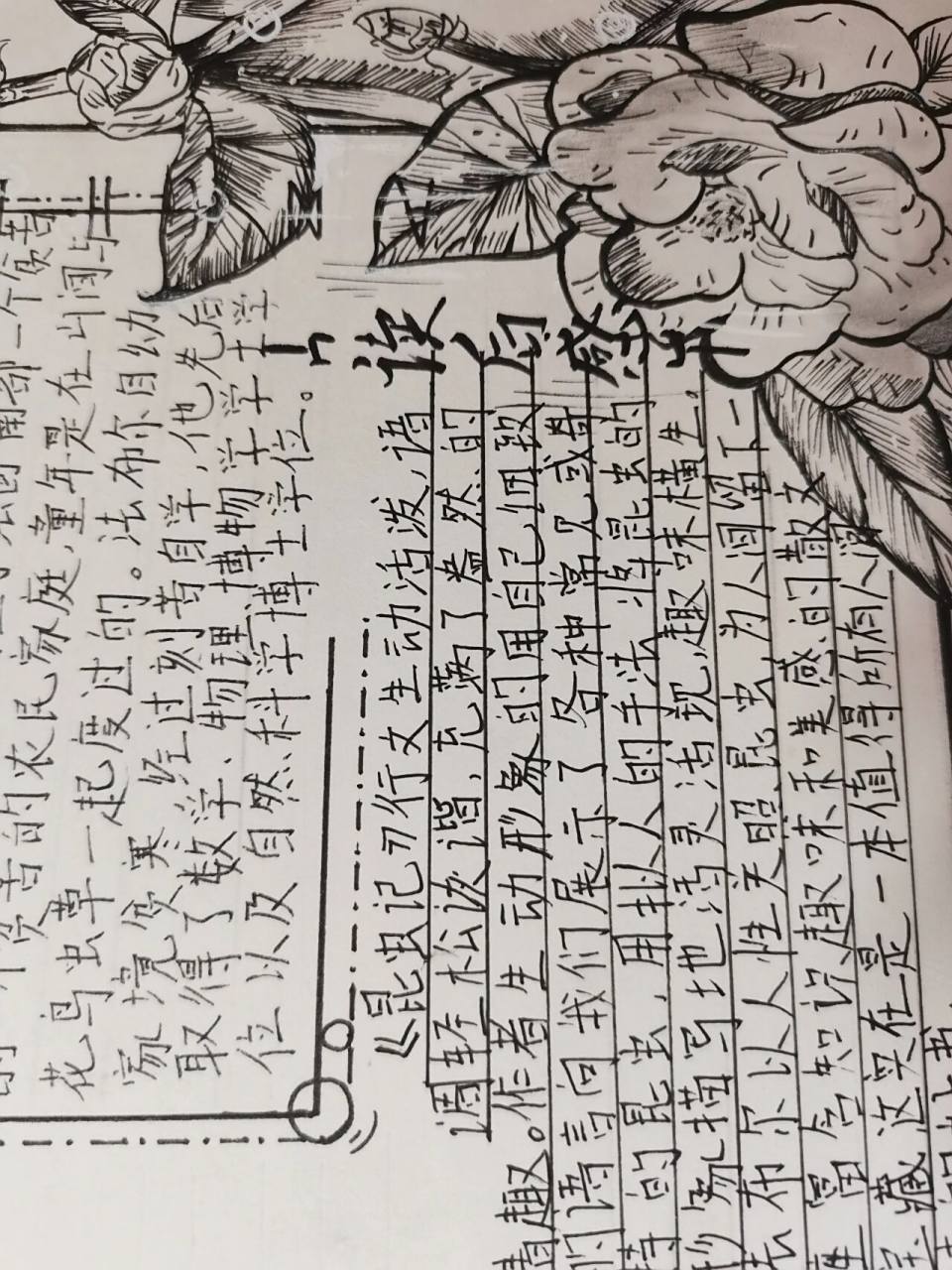 《昆虫记》手抄报 八年级上册必读书目手抄报 这幅的蝉画了好久,笔都