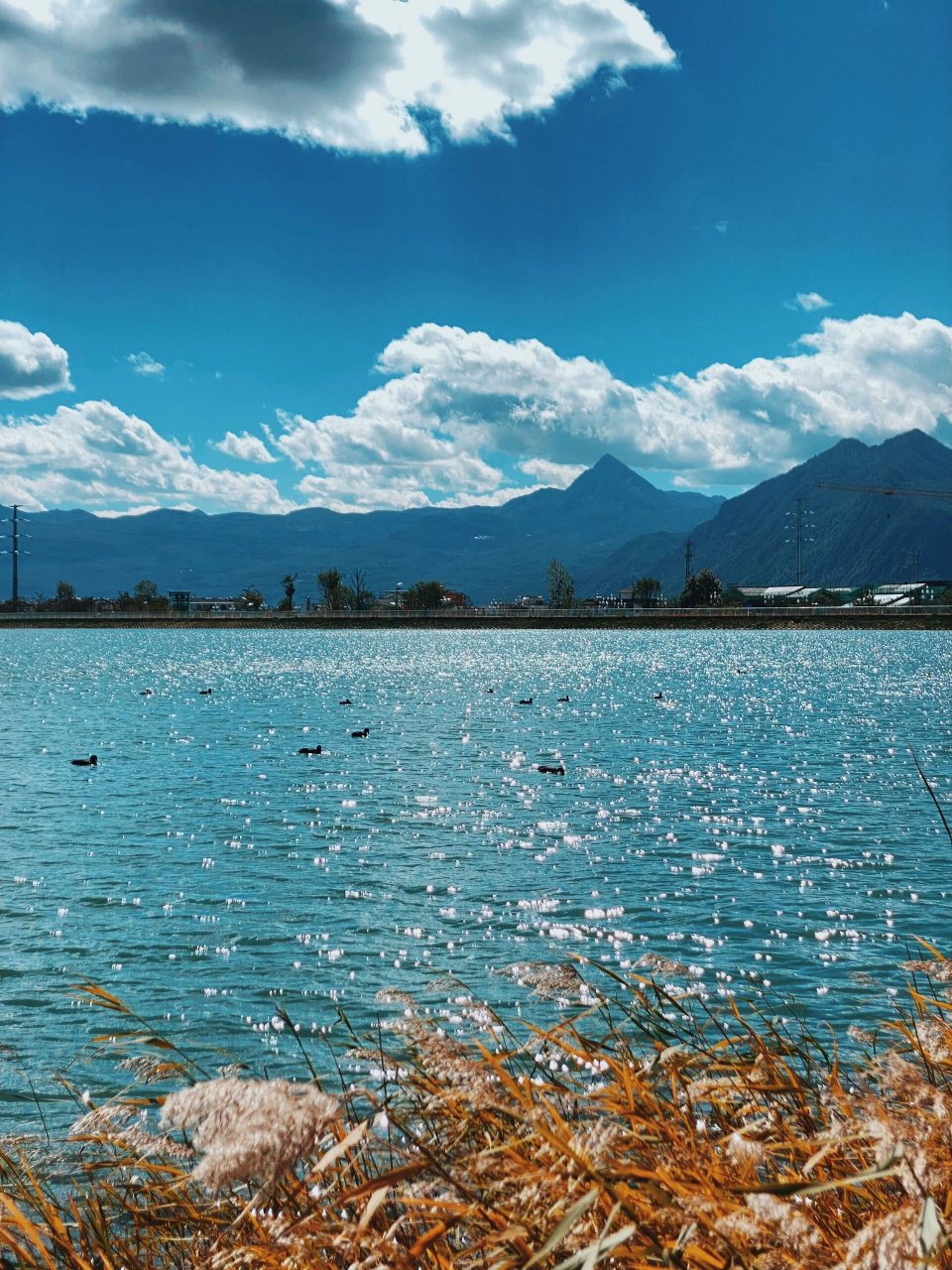 深秋的中济海公园真的美的像漫画 丽江秋季宝藏打卡点～中济海公园