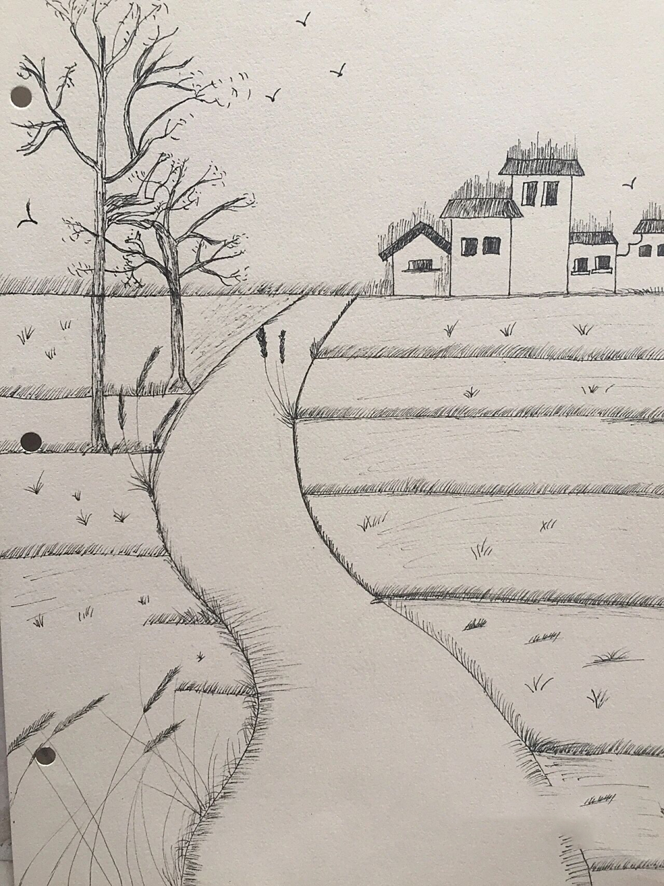 简笔画|风景乡间小路🍃 顺着弯曲的小路, 寻着远去的记忆, 提着一只