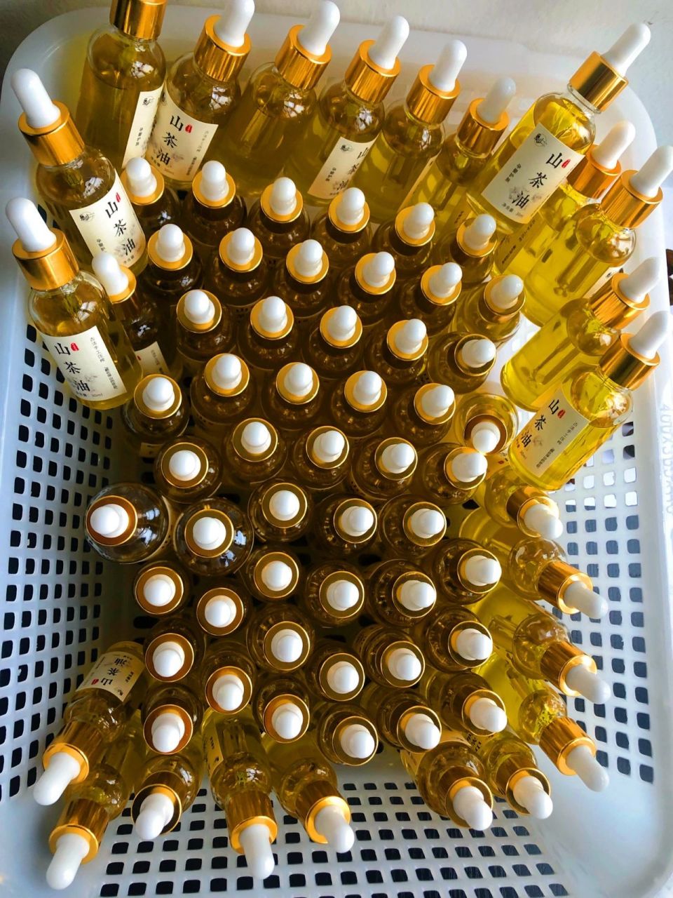 茶油涂脸3年631571茶油涂脸亲身经历    小时候家里在农村条件