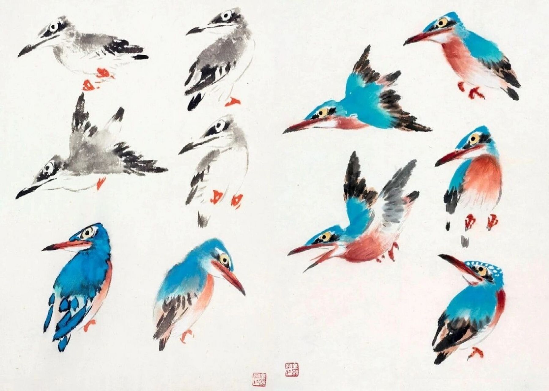 国画各种鸟姿图片