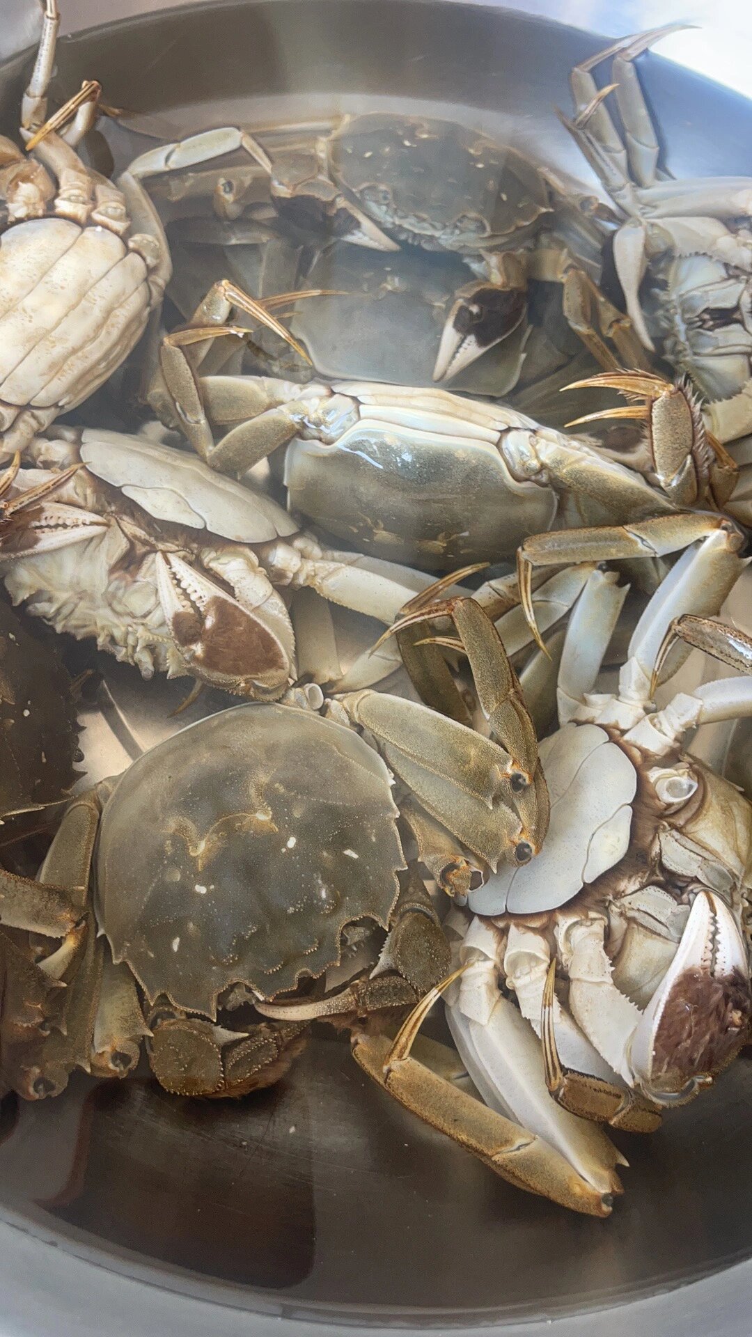 冷冻螃蟹能吃吗?