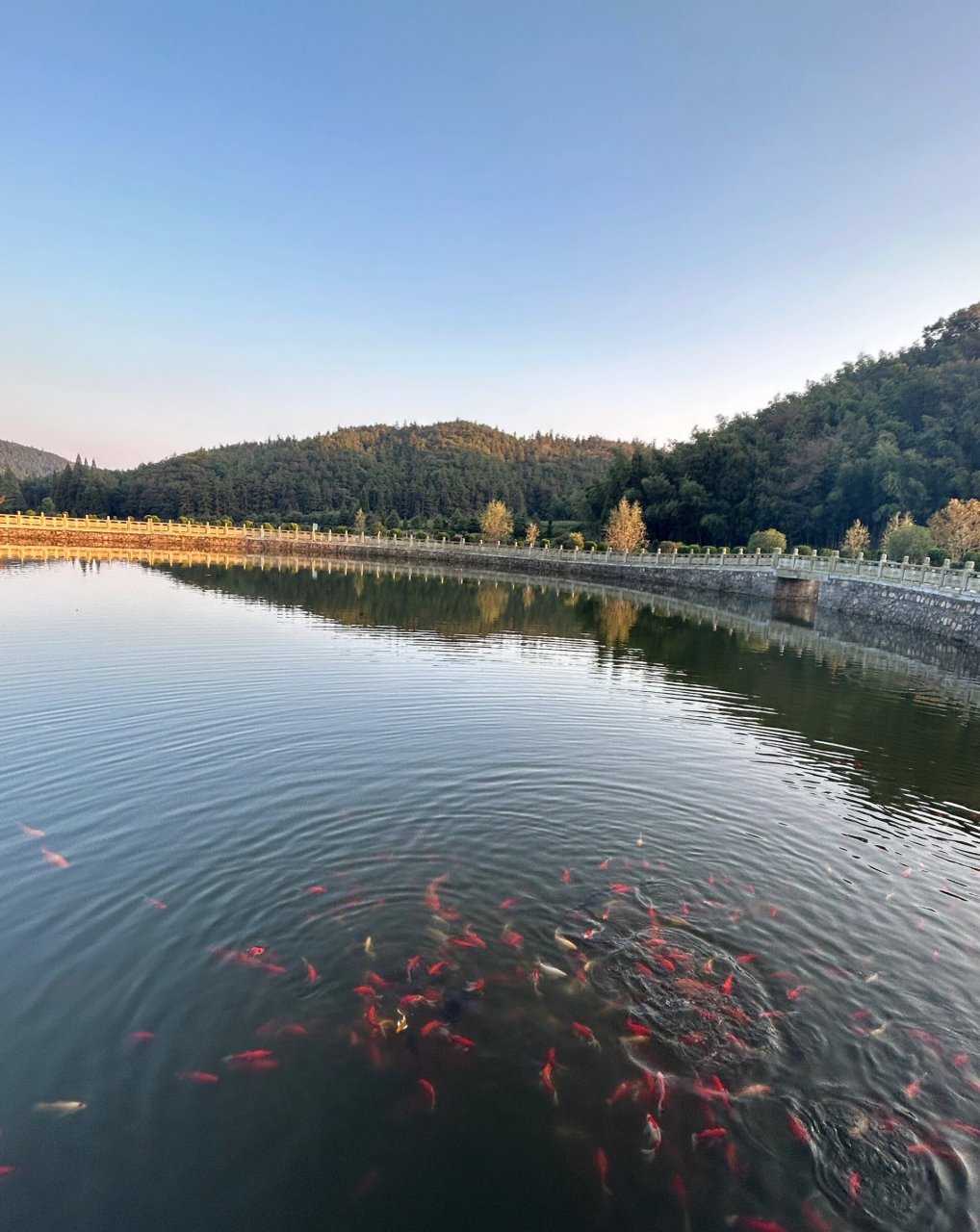 云居山 真如禅寺 九江永修 南昌周边游