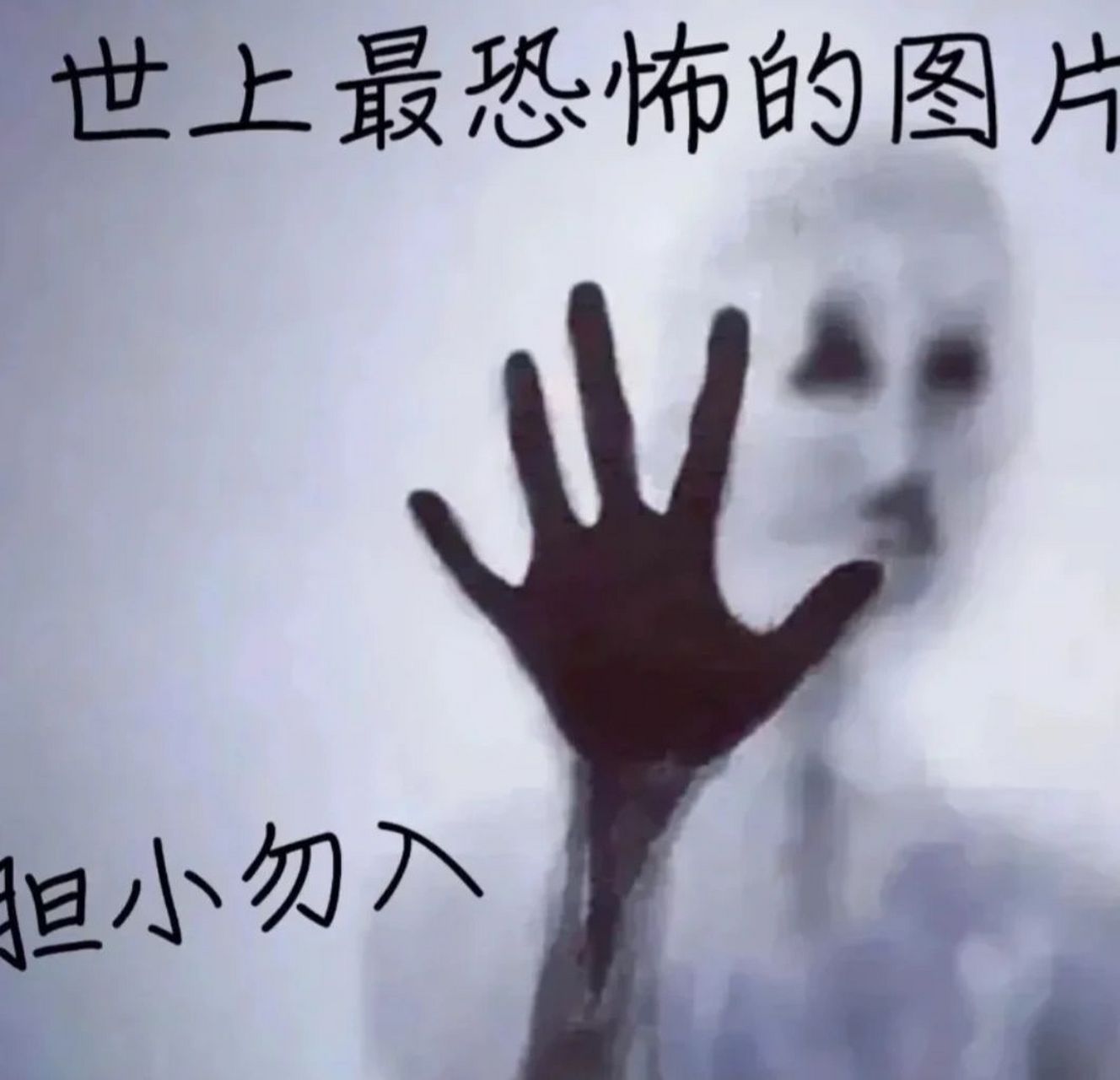 世界上最恐怖的照片,胆小勿进6015 胆小勿进6015