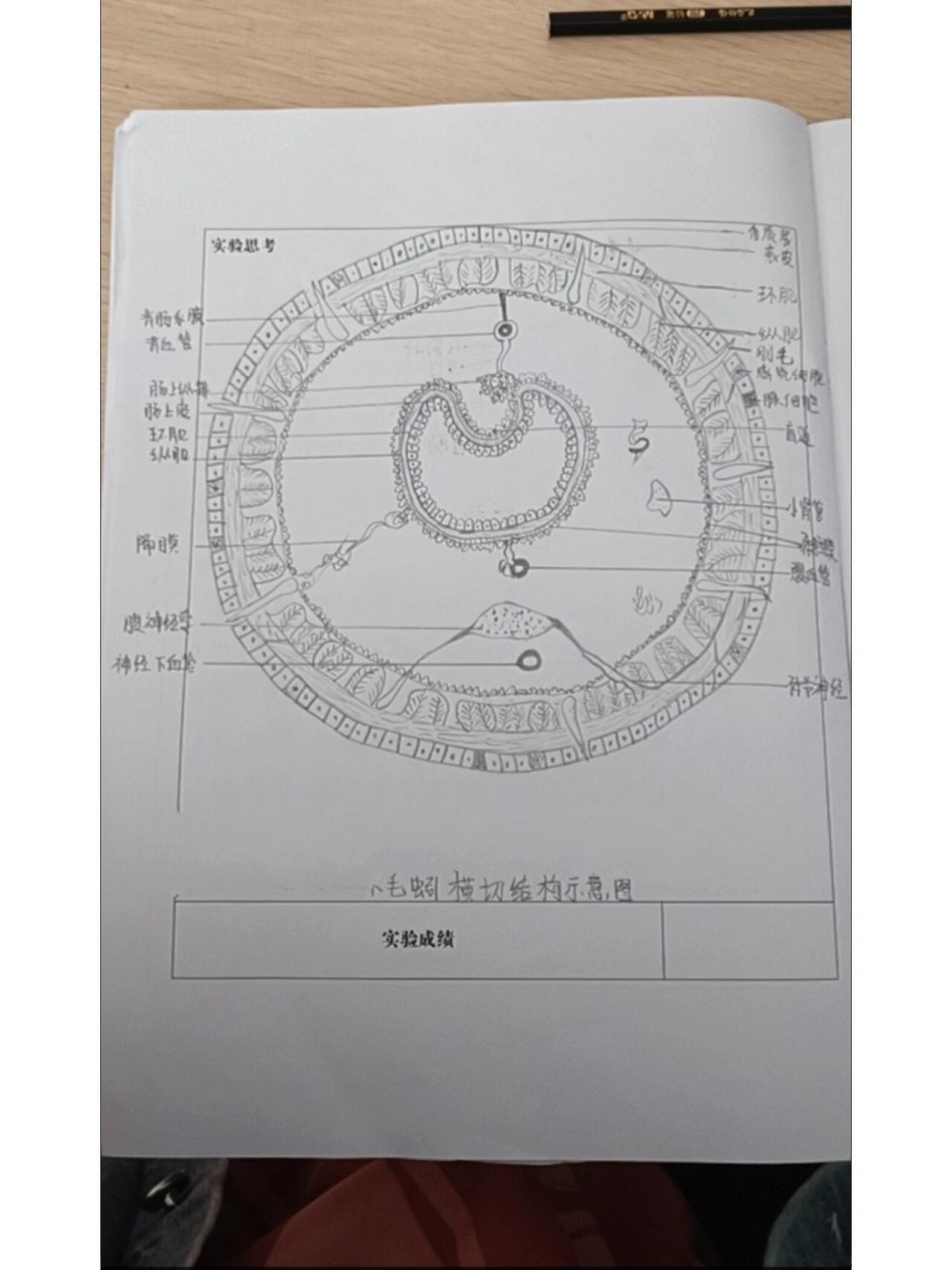 横断面图怎么画手绘图片