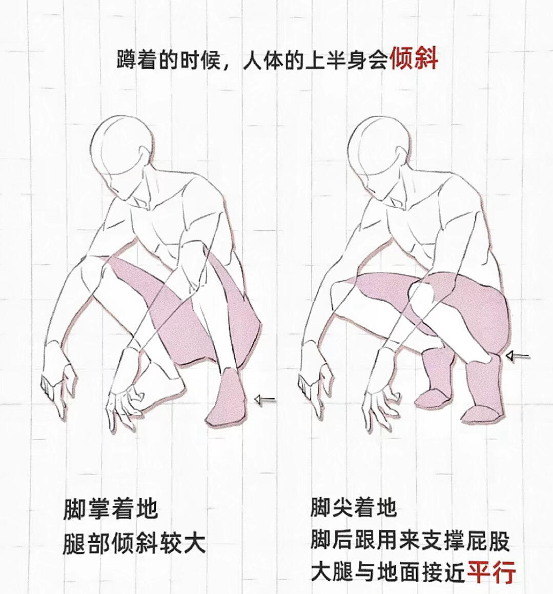 人物蹲着怎么画呢?