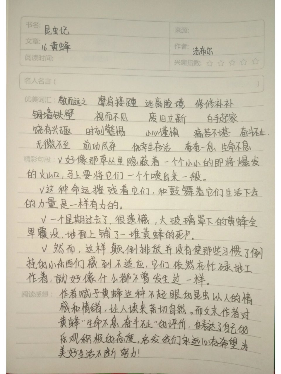 《昆虫记》第15 16节(斑纹蜂)(黄蜂)