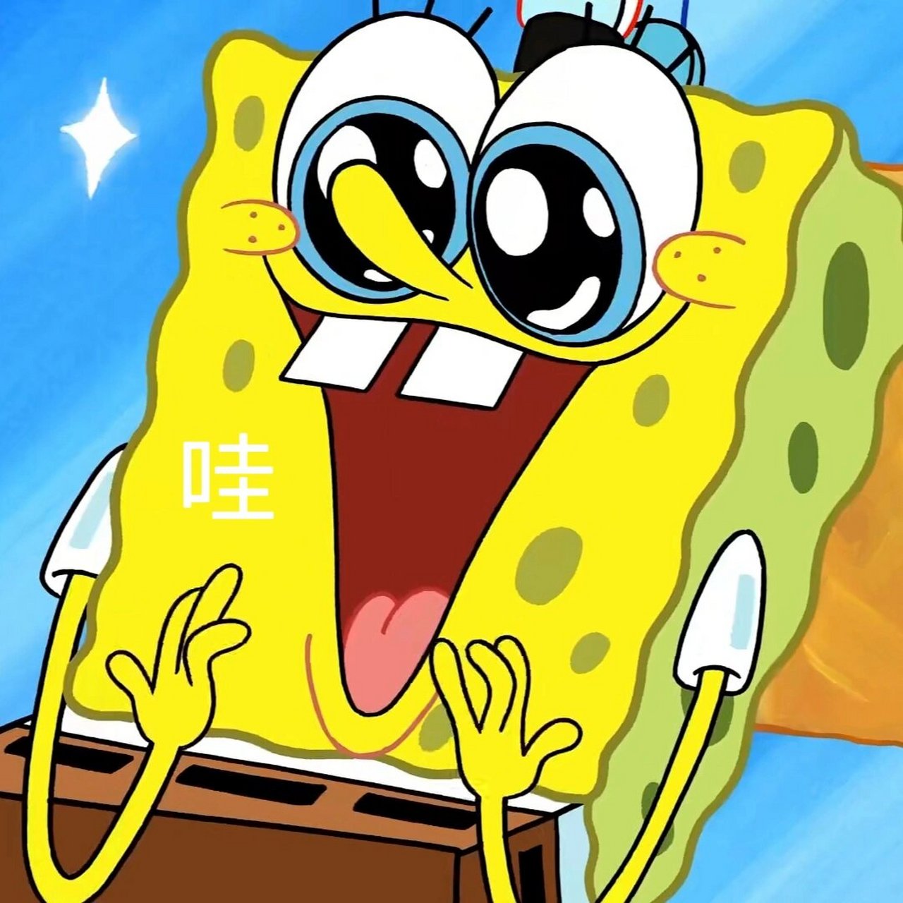 海绵宝宝的大头照|表情包合集1️⃣2️⃣ 一字表情包