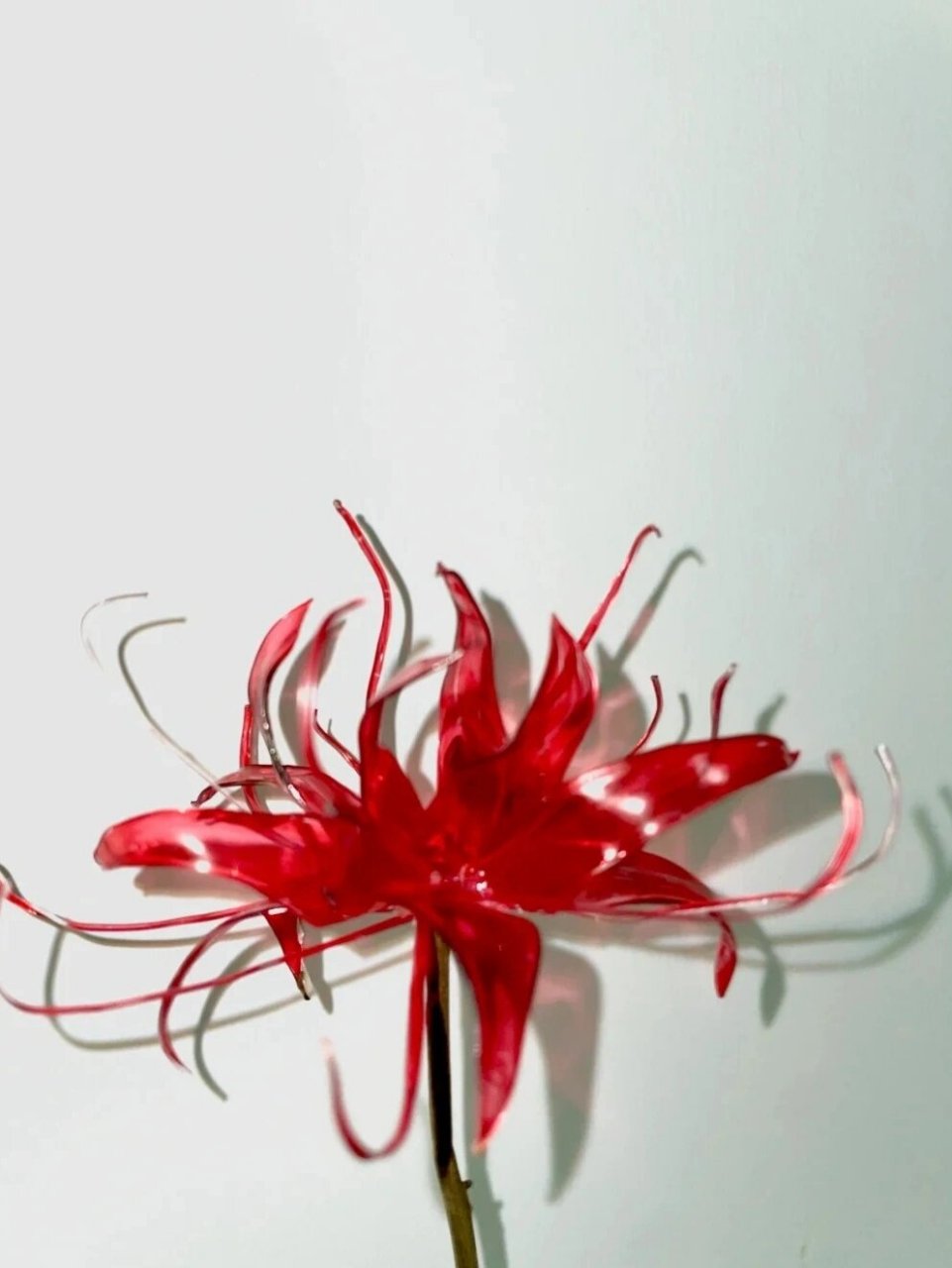 自己动手diy矿泉水塑料瓶彼岸花92 制作步骤 166塑料瓶剪成花瓣和