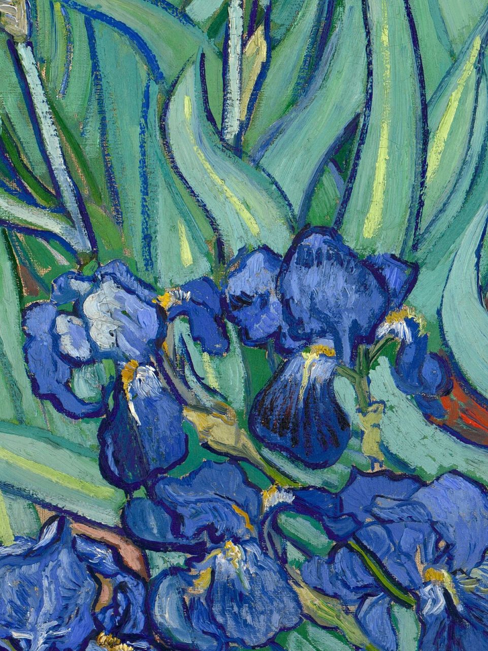 梵高《鸢尾花》作品欣赏(含细节) 梵高《鸢尾花》作品欣赏(含细节)