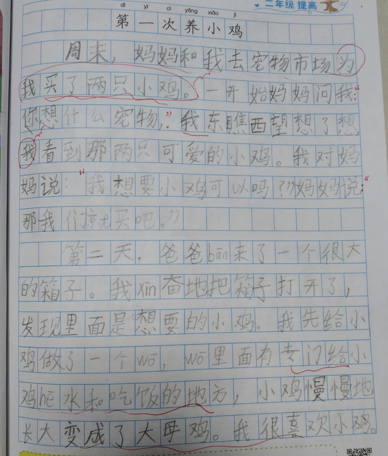 观察日记300字三年级上册小鸡(观察日记300字三年级上册小鸡怎么写)
