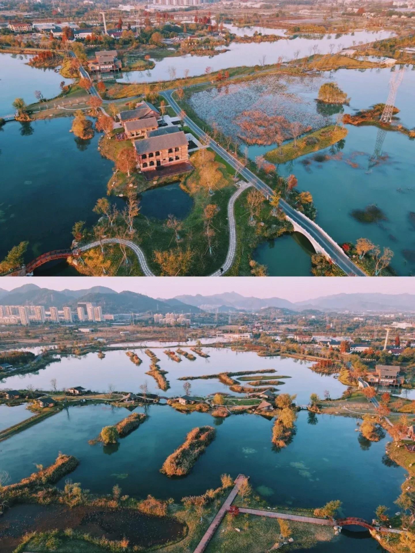 今天和朋友去郊区的阳陂湖湿地公园溜达一圈 虽然是初冬,没有什么花花