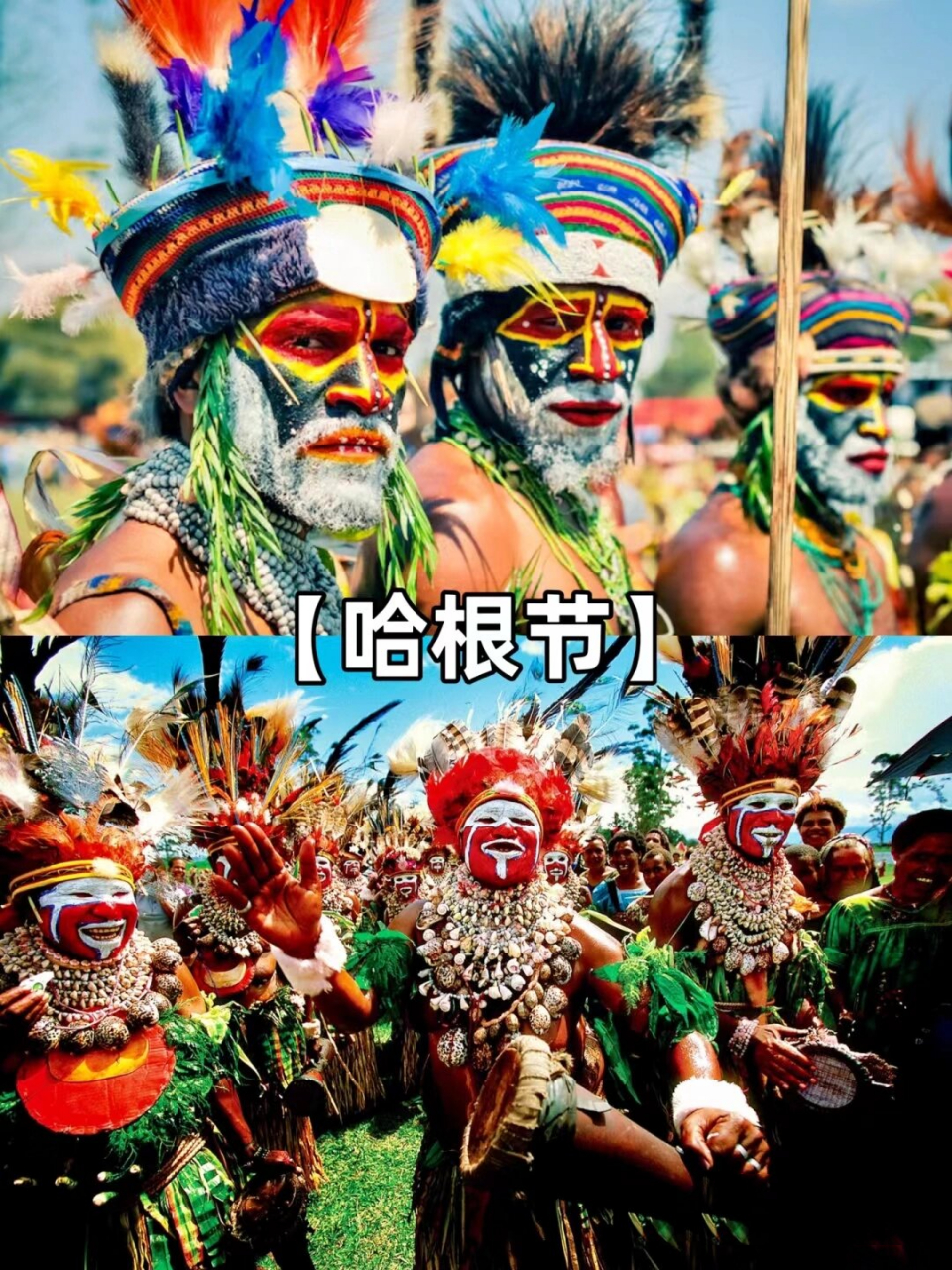 小蓝山:巴布亚新几内亚天堂鸟 巴布亚新几内,一个拥有神秘山脉,肥沃的