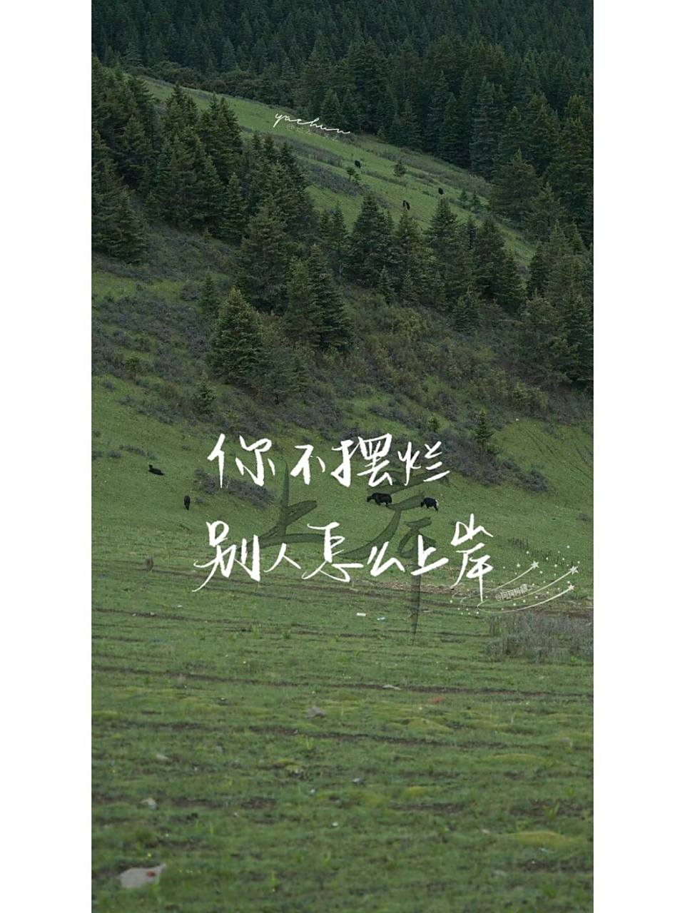 手写|手机壁纸|每日一句骂醒自己 #手写# #文案# #壁纸# #壁纸分享