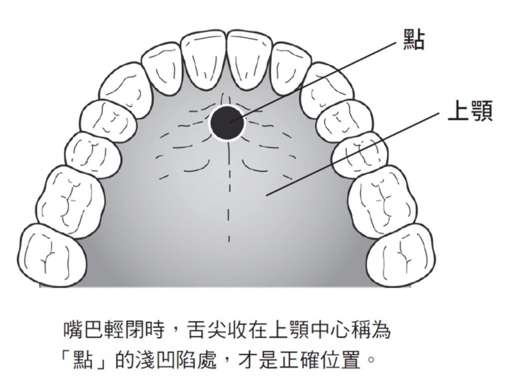 nwu分享# 舌头的正确摆放位置  你舌头平时是怎么摆放的?