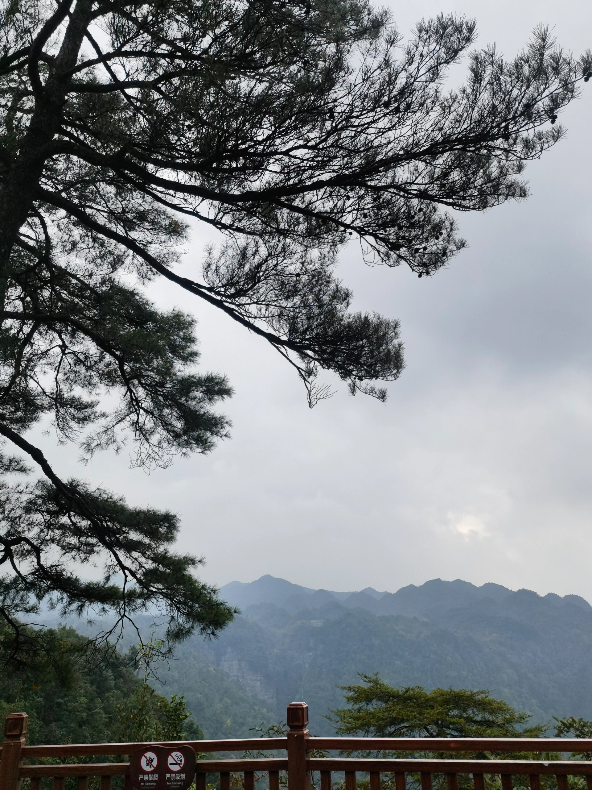 大明山一日游图片