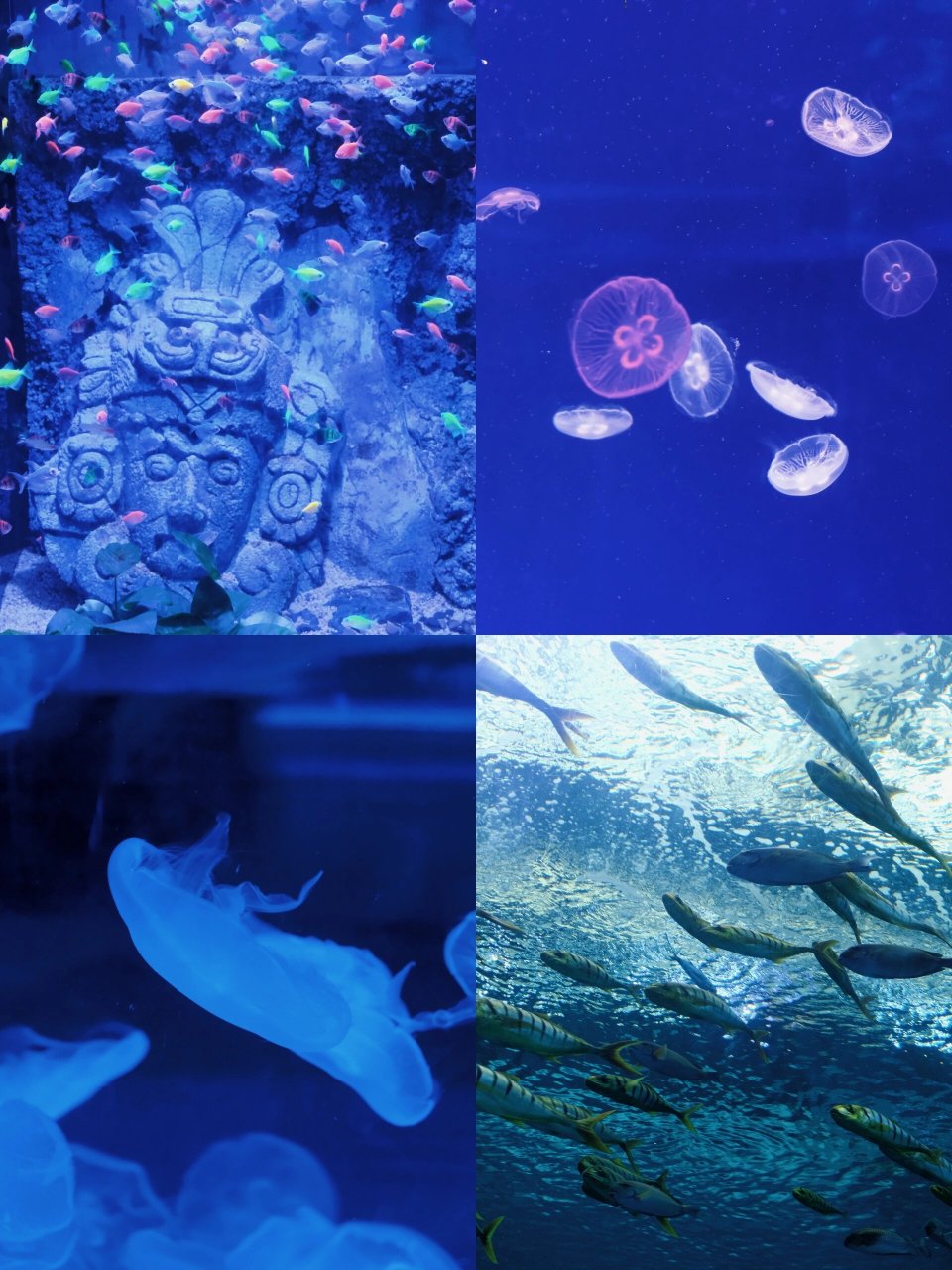 桂林融创海世界 91